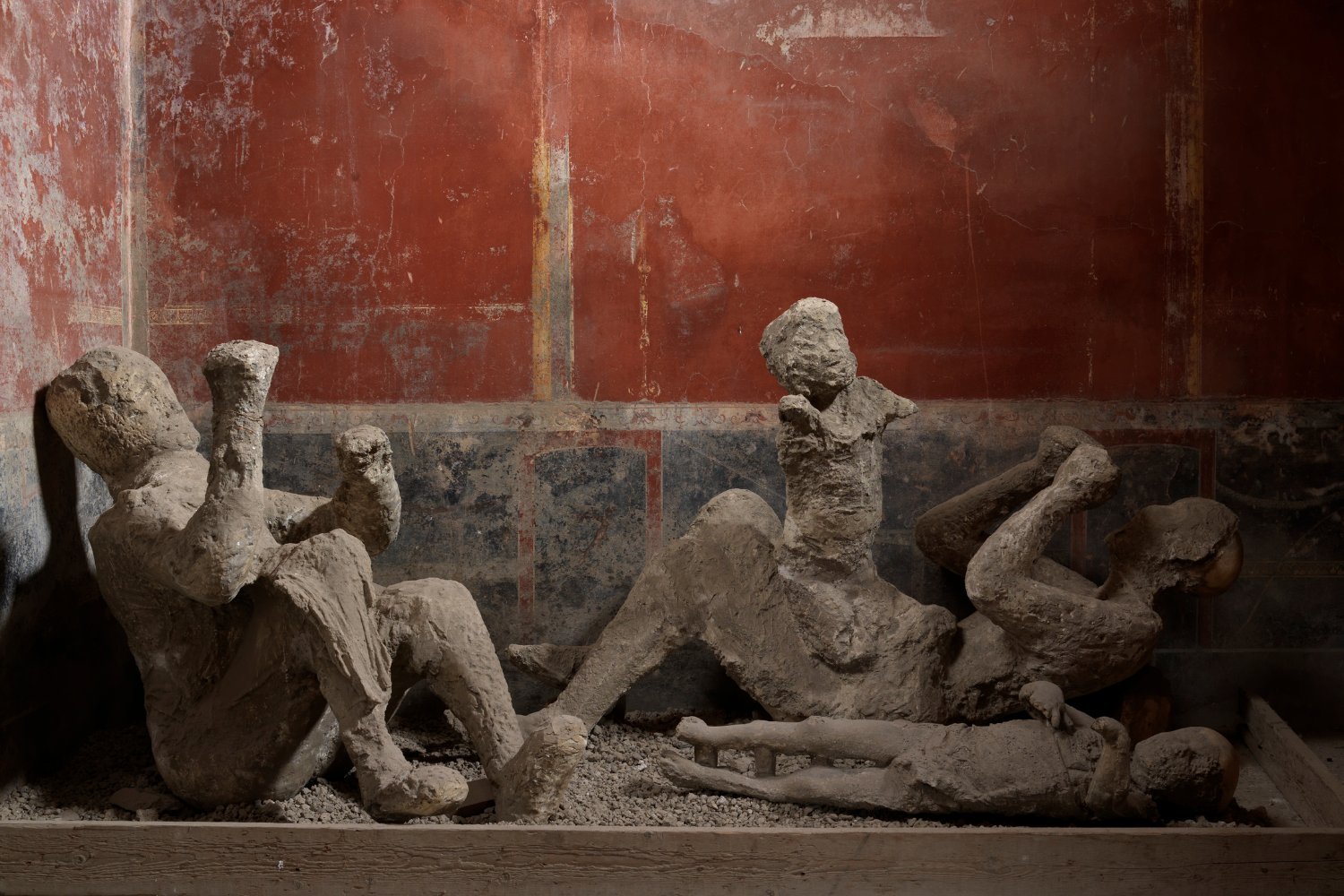 DNA From Pompeii Victims Reveals Surprising Relationships Amidst the Chaos