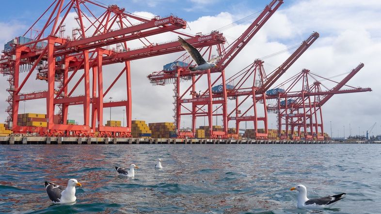 U.S. Imports Drop 19.8% in April (Yes, That's a Record)