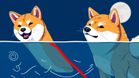 SHIB Price Prediction: Shiba Inu Whales Snap Up 10T SHIB, Prices Chalk Out Descending Triangle Pattern