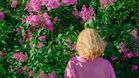 Things Humans Still Do Better Than AI: Understanding Flowers