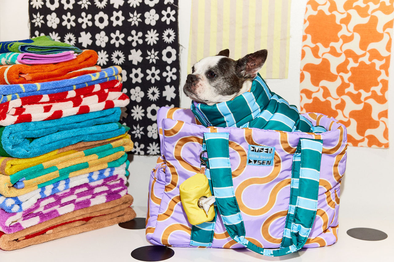 Upgrade Your Pup’s Wardrobe With Dusen Dusen x Little Beast