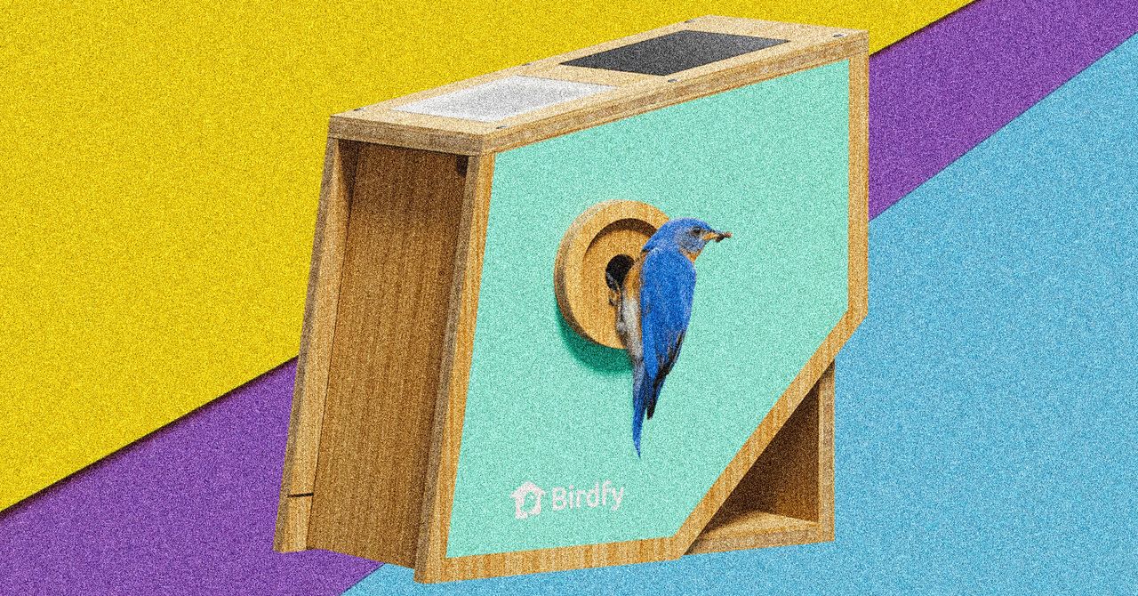 Birdfy's Polygon Smart Birdhouse Wants to Make Your Backyard Visitors Famous