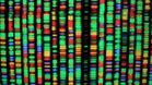 Scientists Launch Wild New Project to Build a Human Genome From Scratch