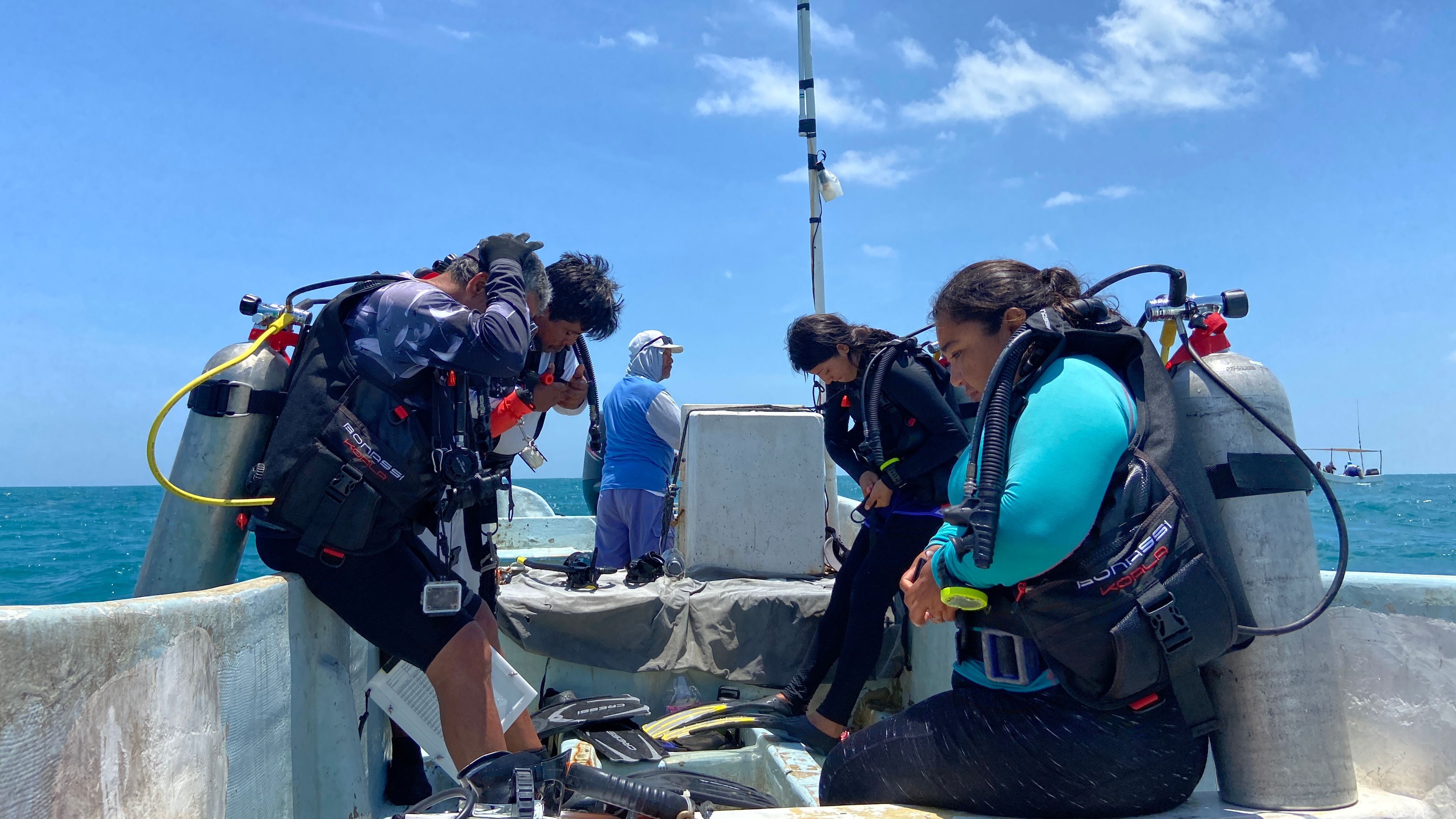 How Mexico’s Fishing Refuges Are Fighting Back Against Poaching