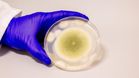 Notorious Fungus Blamed for ‘Mummy’s Curse’ Is Now a Promising Cancer Treatment
