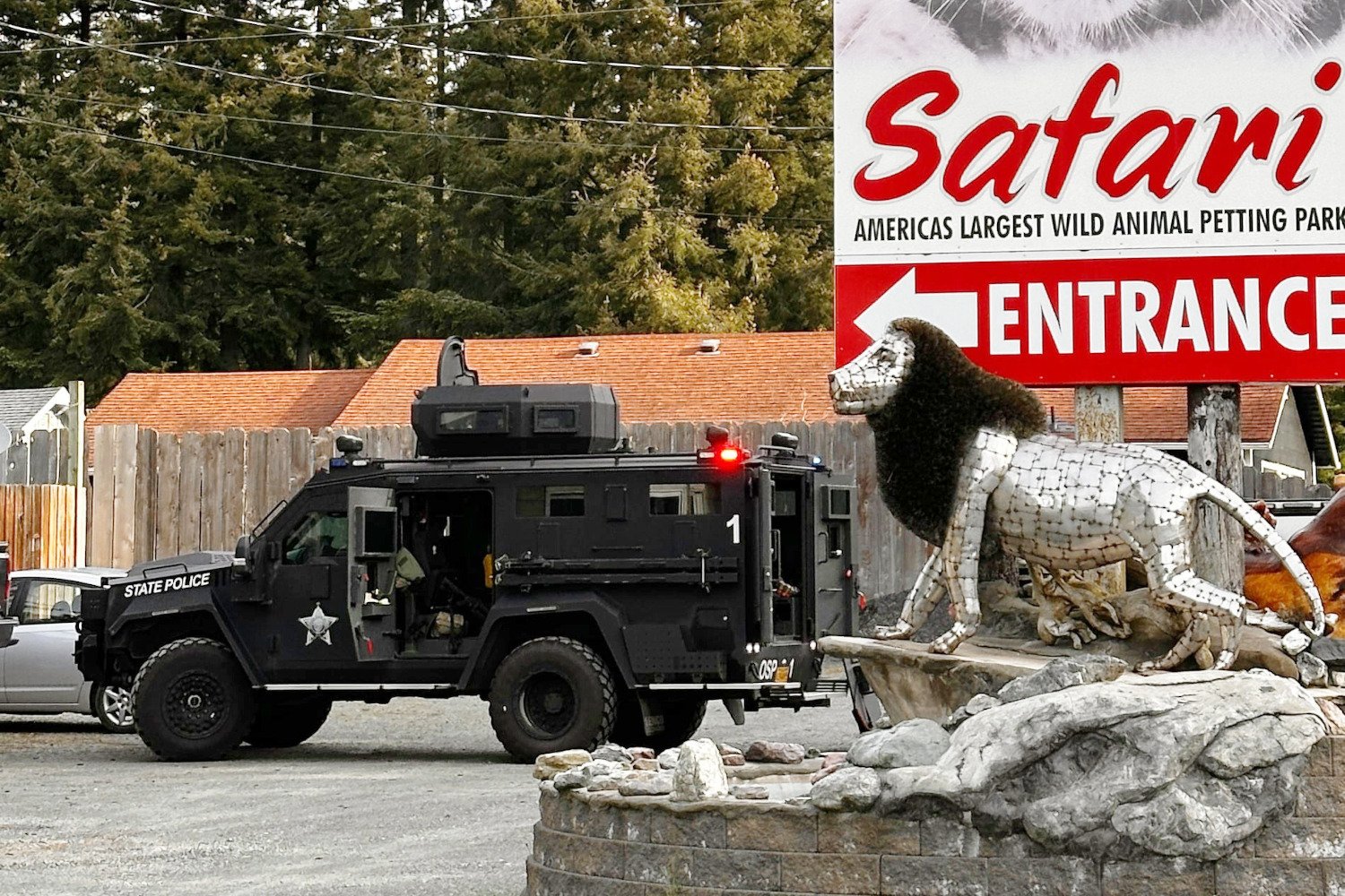 Oregon Safari Park Reportedly Starved Lions and Left Dead Tiger in Freezer