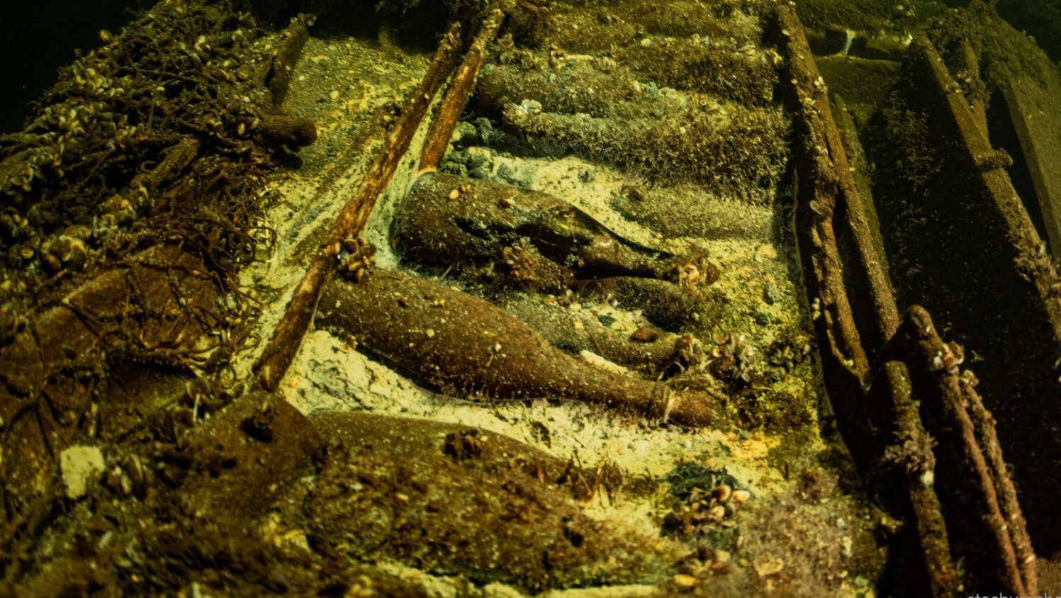 Over 100 Uncorked Champagne Bottles Found in 170- Year- Old Shipwreck