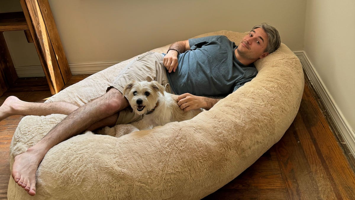 This Human Dog Bed Is Giving Me the Best Naps of My Life