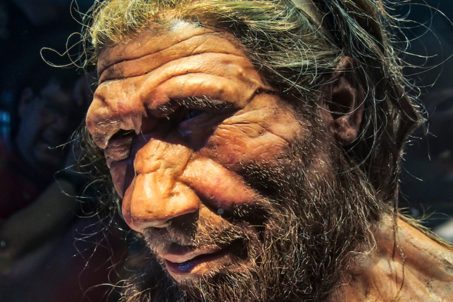 Something Bad Happened to Neanderthals 110,000 Years Ago—and It May Have Sealed Their Fate