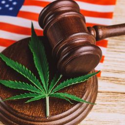Which States Have Legalized Marijuana for Recreational or Medical Use?