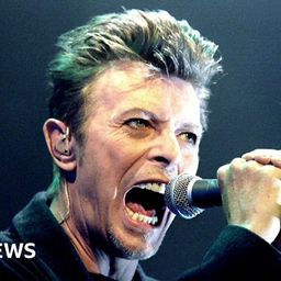 Hyenas and wild pigs heard in new David Bowie remix