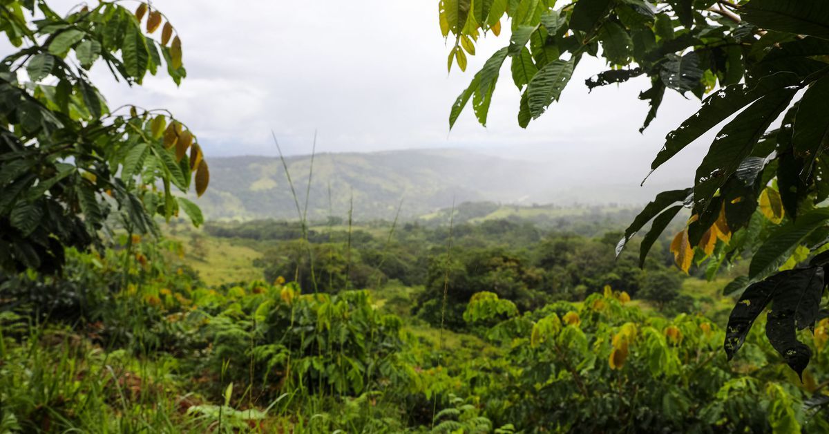 Costa Rica restored its forests and switched to renewable energy — what can the world learn from it?