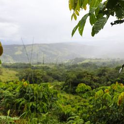 Costa Rica restored its forests and switched to renewable energy — what can the world learn from it?