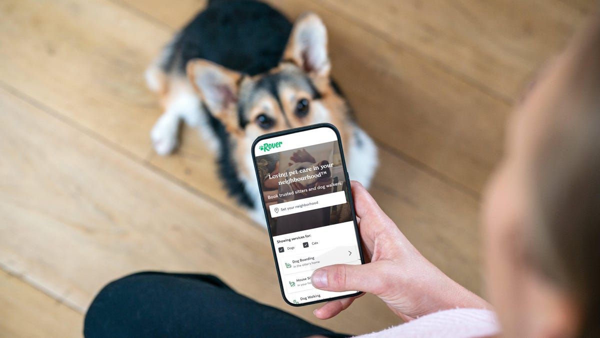 'Please Help Us Get Justice for Our Dogs': 10 Horror Stories About the Dog- Sitting App Rover