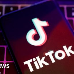 TikTok warns US ban would 'trample free speech'
