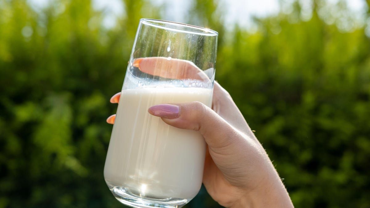 Now Is a Great Time to Discuss the Wellness Trend That Is Drinking Raw Milk
