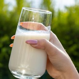Now Is a Great Time to Discuss the Wellness Trend That Is Drinking Raw Milk