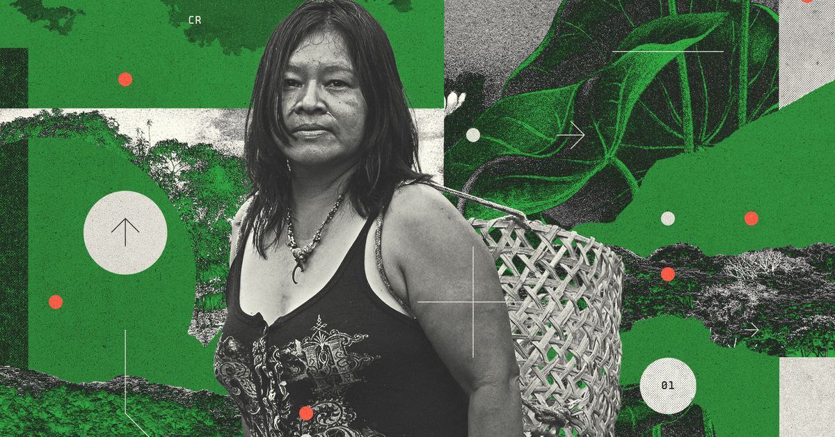 Want to restore a forest? Give it back to Indigenous peoples who call it home