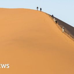 Big Daddy dune: Namibia angered by tourists posing naked in dune safari